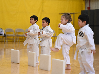Pre-Karate Beginning/White Belt (9/14-12/14)