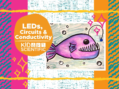 LEDs, Circuits & Connectivity Weekly Class (5-12 Years)